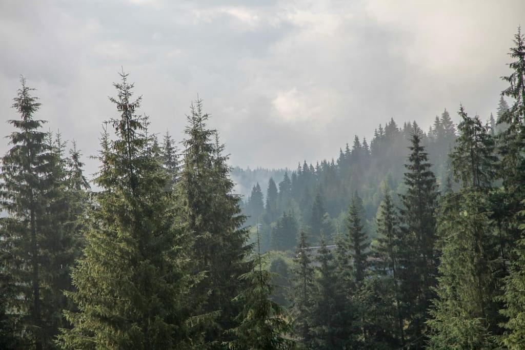Шале Dereva Yablunytsya Exterior foto