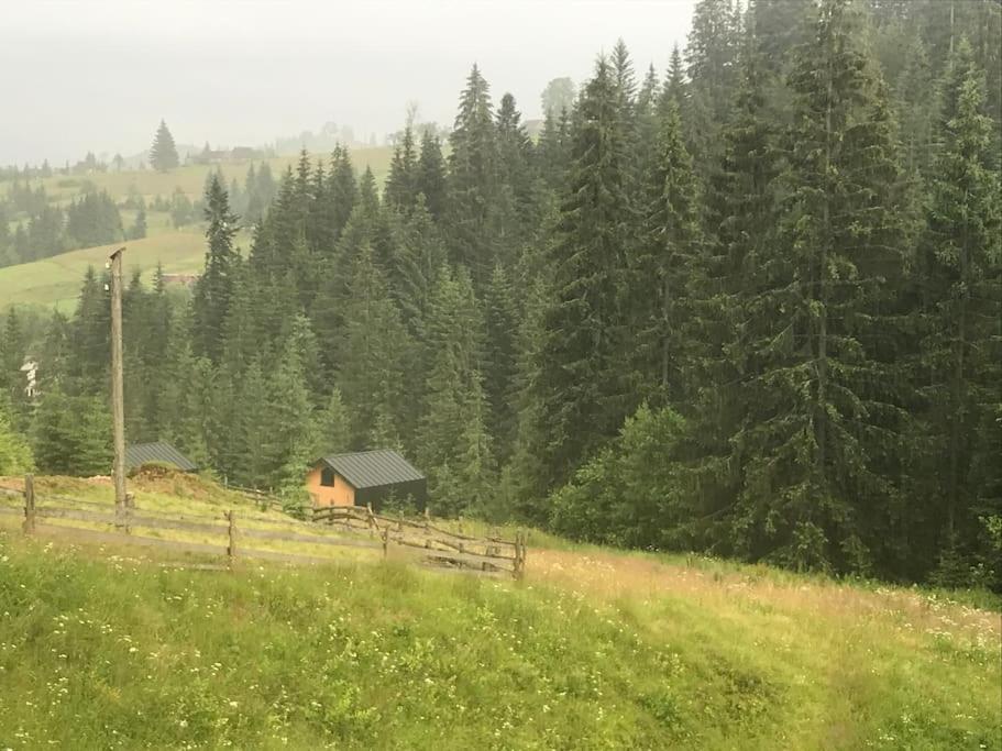 Шале Dereva Yablunytsya Exterior foto